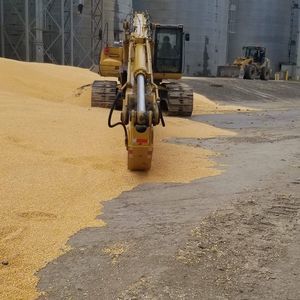 Meet your Posher, Frankie